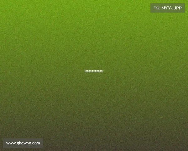 快船队表现亮眼，轻松取胜